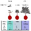 image of Figure 4